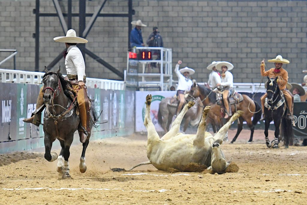 Lxxx Congreso Y Campeonato Nacional Charro San Luis Potos