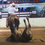 Don Ignacio López Martín, de Rancho El Secreto, a sus 74 años, coleó a lo campeón nacional con 51 puntos