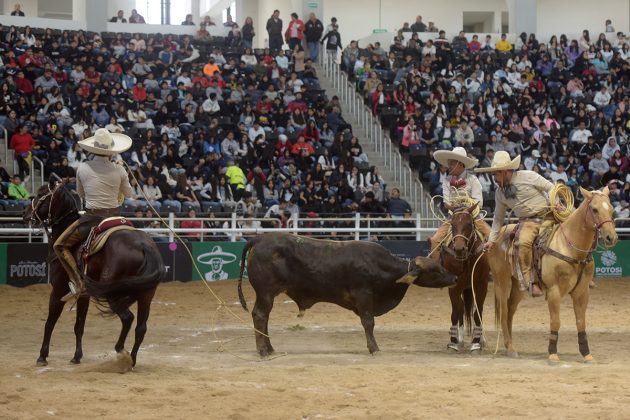 Con sus 328 unidades, Aguascalientes JG se encuentra en la tercera casilla general