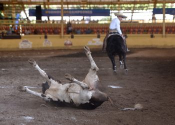 Emocionante jornada eliminatoria de los equipos juveniles