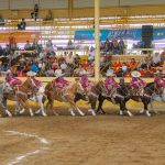 En su ejecución del "abanico" las pequeñas líderes de Aguascalientes