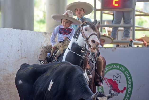 Han comenzado las eliminatorias de los equipos Dientes de Leche en la Arena San Marcos