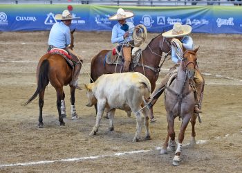 En pie de guerra La Colonial VDG por un sitio en la final juvenil