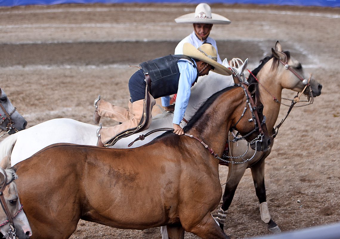 Comienza la eliminatoria de charros completos Dientes de Leche