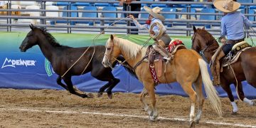 Camino de Aguascalientes allana el sendero hacia la final Infantil “A”