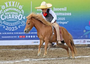 Hacienda Santa Cruz del Valle se mete a la final de los equipos Dientes de Leche