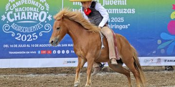 Hacienda Santa Cruz del Valle se mete a la final de los equipos Dientes de Leche