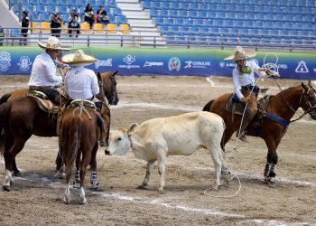 Muchas emociones y movimiento en lo alto de las tablas clasificatorias