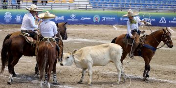 Muchas emociones y movimiento en lo alto de las tablas clasificatorias