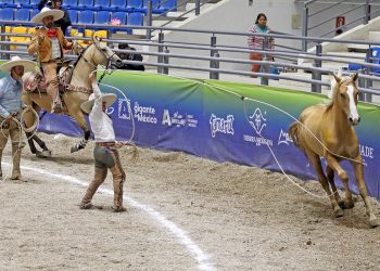 Hacienda Santa Cruz del Valle acarició las tres centenas en la eliminatoria de Infantil “A”