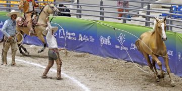 Hacienda Santa Cruz del Valle acarició las tres centenas en la eliminatoria de Infantil “A”