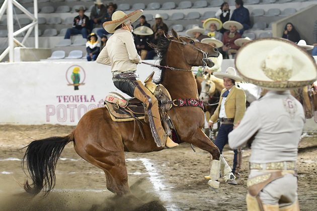 La Alteña de California comenzó con cala de caballo de 24 unidades por conducto de Andrés Serrano Arias