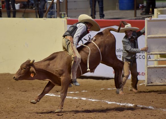 Gabriel Enríquez Muñoz ejecutó esta emocionante jineteada de toro cara atrás para los Charros de Irapuato