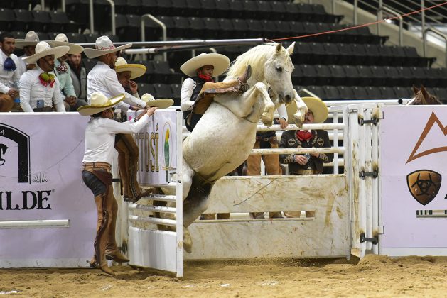 La charreada nocturna del jueves la ganaron Regionales de Nopala "La Bóveda"