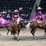 Buenos cruces realizados por las integrantes de las Peregrinas de Yucatán