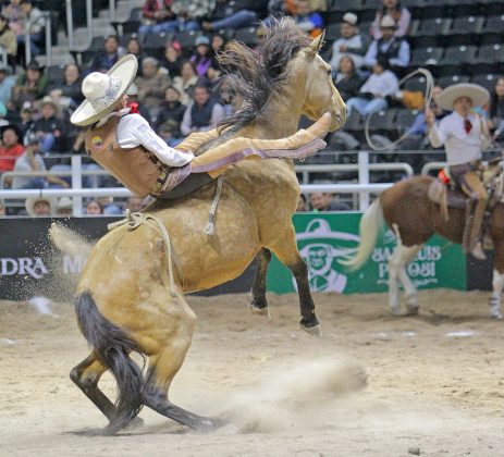 Lució muy buena jineteada de yegua Cristián Ramos para el equipo Rancho Las Cuevas