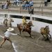 Rancho El Secreto “RD” destaca en la última charreada del sábado