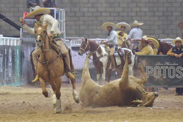 José Luis Rivera abanicando a su toro durante el coleadero de los Regionales de Texcoco