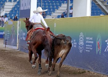 Los Tres Regalos de Jalisco logran imponente calificación en la jornada dominical