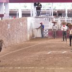 Un pial en el lienzo de 19 tantos que acertó Marco Antonio González Gómez por Rancho Santa Sofía