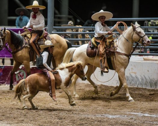 Valiente el pequeño Jerónimo Carrera Mejía, de Las Mercedes, en su jineteada de yegua