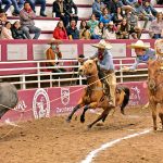 Juan Franco de Anda acertó una mangana a caballo para Capilla de Guadalupe