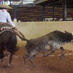 Celso Treviño Cantú de Hacienda El Rosario destacó en el coleadero al totalizar 42 tantos