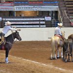 Vistoso remate del pial en el ruedo que acertó Hugo Alberto Morett Alvarado, durante la terna de Apaseo JH