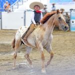 Gallarda postal de José Rodrigo Félix González jineteando la yegua para Hacienda Los Portales