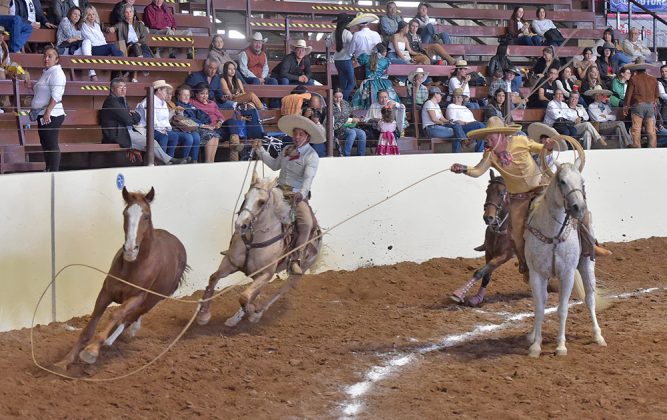 Marco Antonio Casillas Ramírez cooperó con los Rancheros de Tijuana con lazo cabecero, una mangana a pie y otra más a caballo
