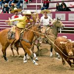 Jesús Francisco Arámburo Sánchez rematando el lazo cabecero, durante la terna de Tequila Hacienda Vieja