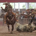 Arturo Ibarra Sánchez abanicando a su toro durante el coleadero de los Tres Potrillos "A"
