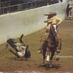 Buenas cuentas de los coleadores que se han dado gusto en el derribe de cuero