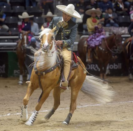 Antonio Díaz Paz abrió la cuenta de All Horses "Máquina 501" con cala de caballo de 41 unidades