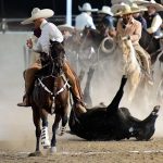 El mejor coleador del equipo Marqués de Guadalupe fue Juan Zermeño Torres con 34 puntos acumulados