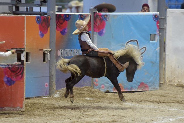 Han emocionado a lo grande los pequeñitos charros de la categoría Dientes de Leche