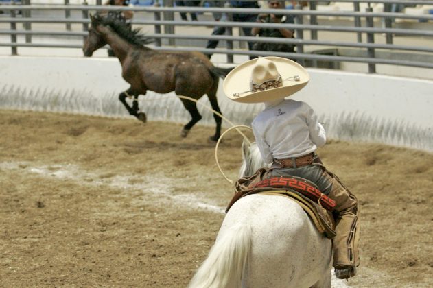 Jorge Iván Flores Medina agarró una hermosa mangana a caballo para Casa Bajío de Zacatecas