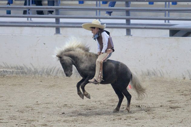 Bonita la jineteada de yegua que ejecutó el pequeño Emilio Martínez Jiménez, de San Lorenzo de Aguascalientes, aportando 23 unidades