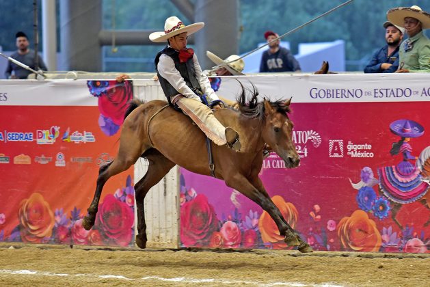 Fuertes reparos de esta yegua bruta soportó Jesús Daniel Ibarría Segura, del escuadrón Serena SRG de Jalisco