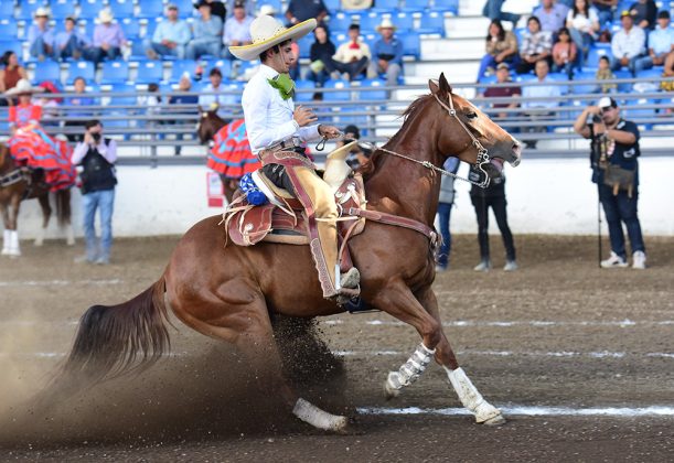 José Emiliano Pérez Rivas presentó la cala de caballo de Rancho La Aparición de 17 unidades