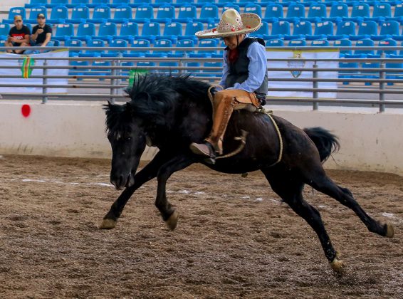 La jineteada de yegua de Alexander Frías Rodríguez de Baja California recibió 19 puntos