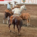Don Francisco Urbiola Zaragoza acertando el pial en el ruedo para completar la terna por Hacienda Panales