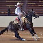 Juan Zermeño Torres presentó cala de caballo de 33 unidades