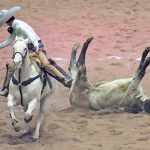 El equipo de Rancho Las Cuevas se metió al selecto grupo de la "excelencia" con 314 unidades