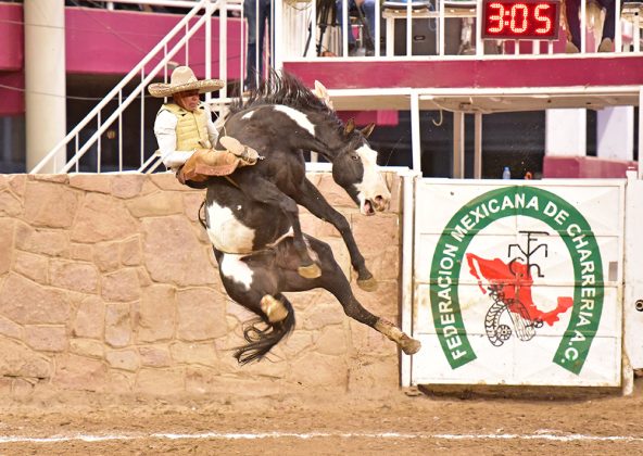 Jorge Gastón Guitron Pedroza pegó la jineteada de yegua más emocionante en lo que va del campeonato, sumando 29 unidades para Rancho La Laguna de California