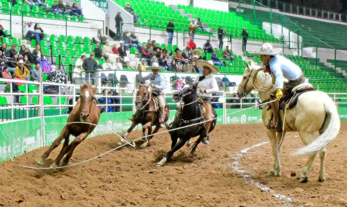También Gustavo Cano Rodríguez probó las mieles del triunfo al acertar todas sus manganas a caballo para Trareysa "A"