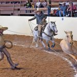 Dos manganas a pie agarró Roberto Arias de Valle de Saltillo, consiguiendo 42 unidades