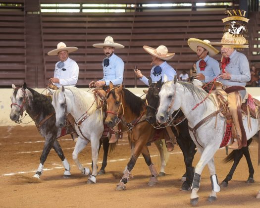 Valle de Señora se adueñó de la quinta casilla general, debajo de excelencia