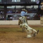 Los charros siguen levantando la mano en el coleadero