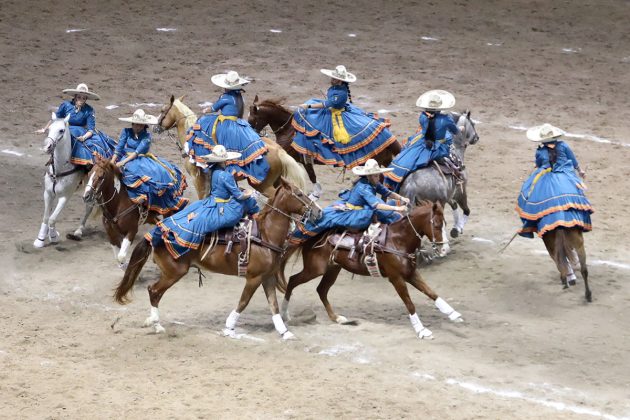 Buena presentación de las Alazanas de Bucerías en el duelo vespertino